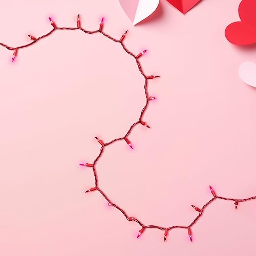Miniatura 4 de Northlight Juego de mini luces rojas y rosas para el día de San Valentín 50 unidades alambre rojo de 10 pies