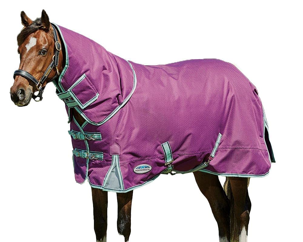 Couverture pour poney violette et navy au paddock par grand froid