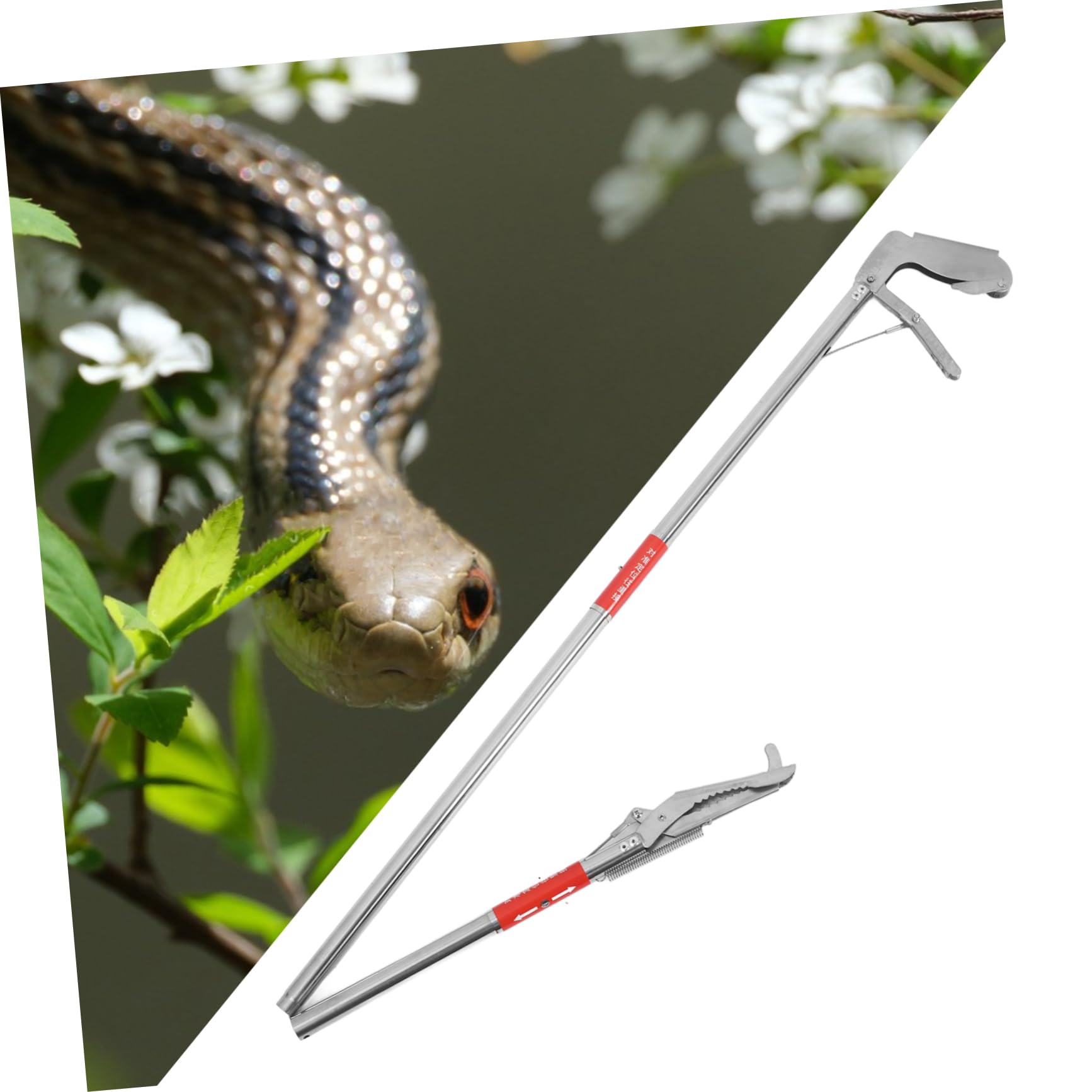 INOOMP 4piezas Pinza De Serpientes De Inoxidable Herramienta De Captura para Reptiles Plegada Agarre Seguro y Manejo Práctico para Entusiastas Vida Silvestre