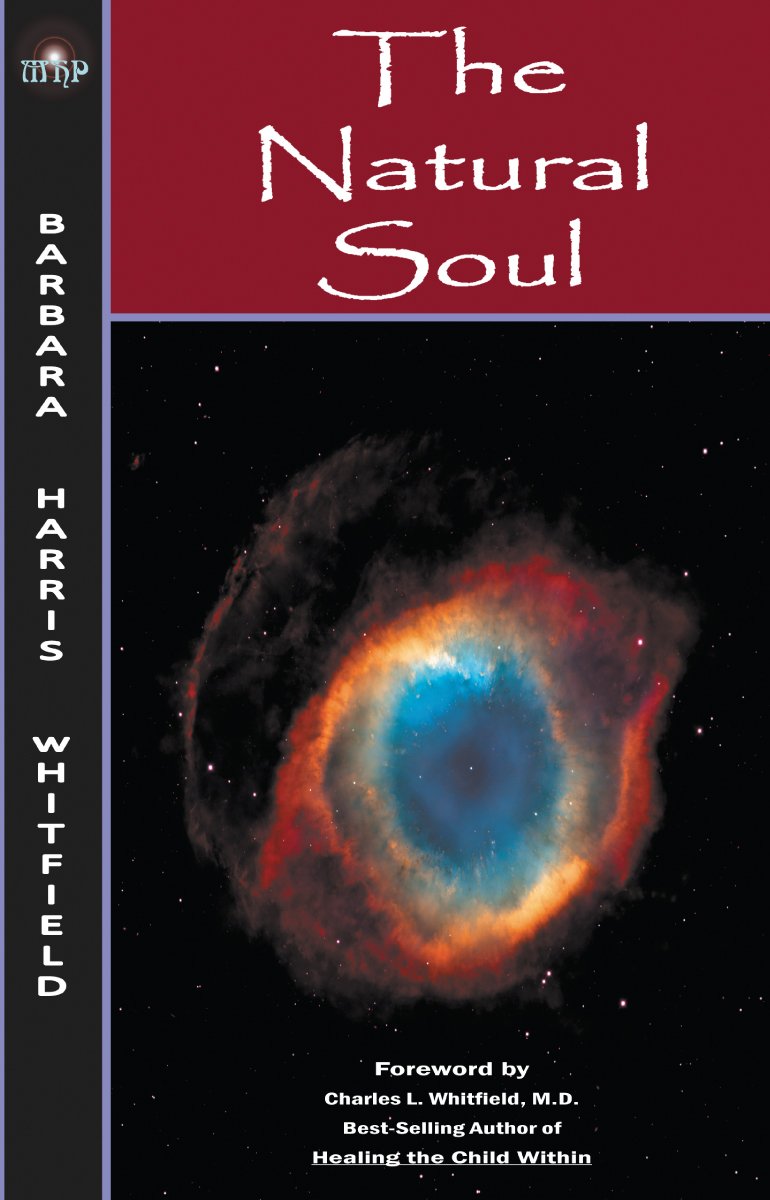 The Natural Soul: Unity with the Spiritual Energy that Connects Us: What it Looks like and how It Feels