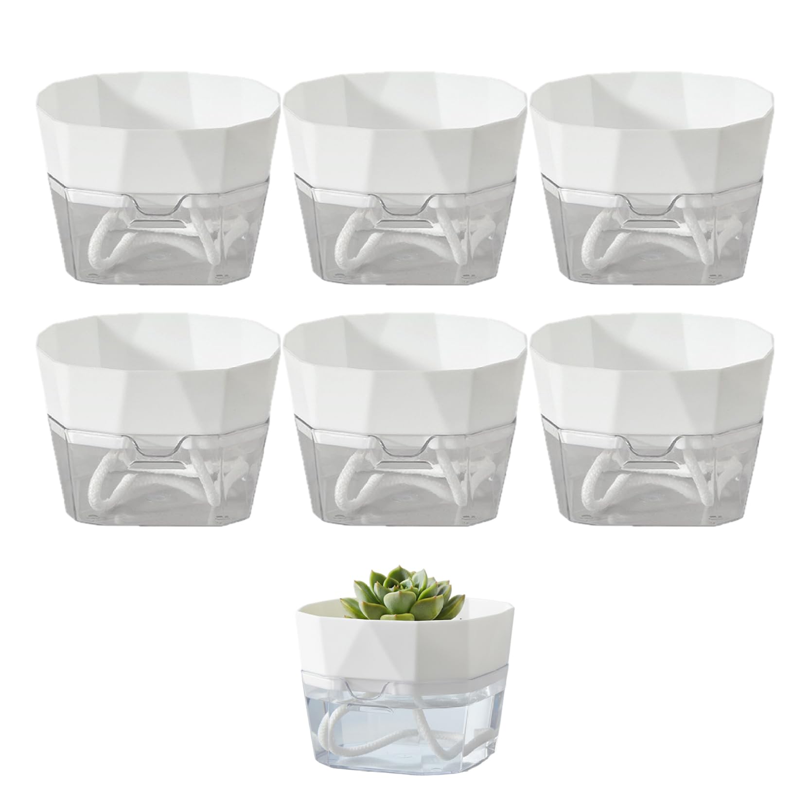 Pots d'arrosage automatique pour sauver vos plantes d'intérieur des oublis d'eau