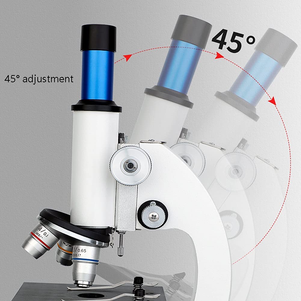 Microscopio per Laboratorio Microscopio Composto Microscopio per Principianti Illuminazione a LED e Specchio con oculare WF20X Adulti Studenti Bambini Laboratorio