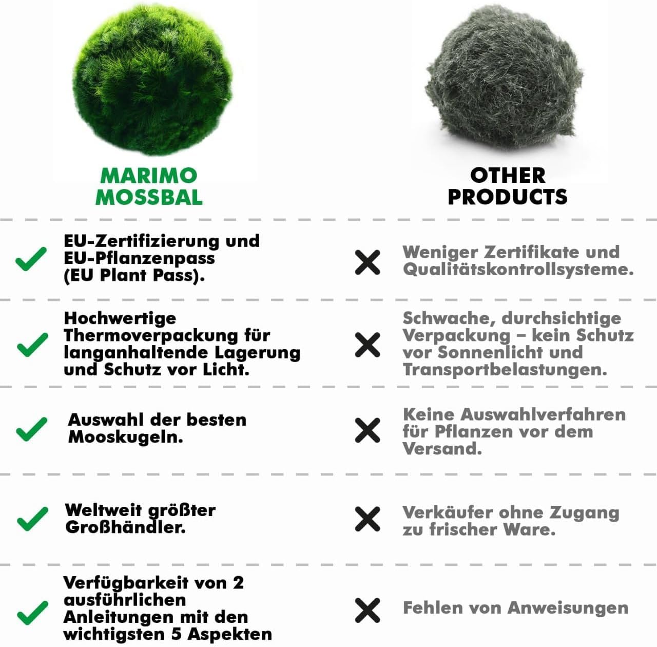 10 pezzi + 1 sfere di muschio per acquario, Cladophora aegagropila linneiae muschio, piante acquarie, muschio, decorazione per acquario, piante vere, marimo, moosball (2-3 cm)