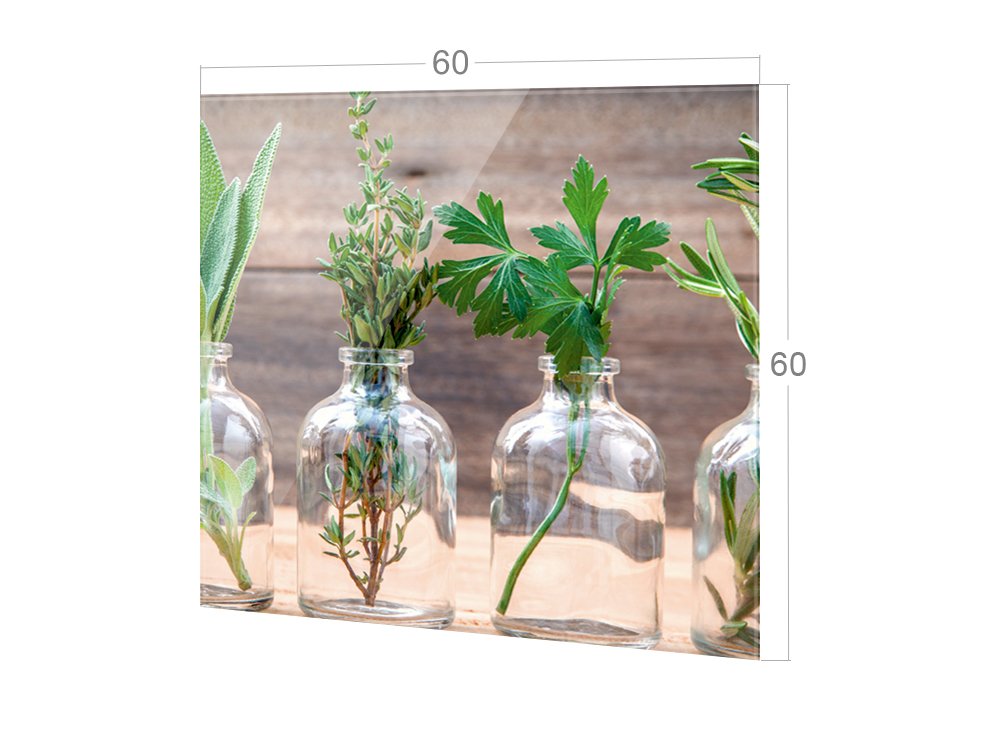 GRAZDesign Küchenrückwand Glas Kräuter im Glas Spritzschutz Herd | Druck hinter Glas | Bild Motiv Gewürze Rückwand Küche, Glasplatte mit Motiv, 60x60cm