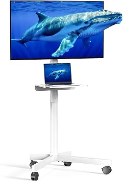 Rolling TV Stand for 23-60 Inch LCD LED Flat/Curved TVs/Screens