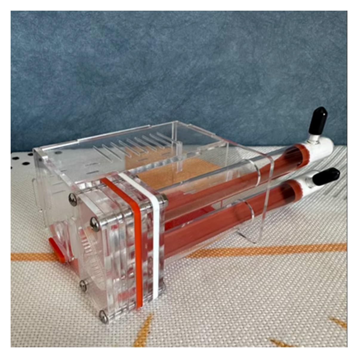 Ameisenhaus, DIY Acryl Ant Formicarium 2 Reagenzglas 4x4x4cm 15-18mm(B,15 Calibre)