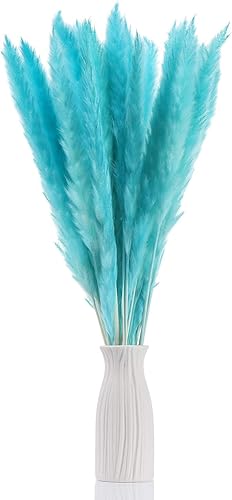 30 ramos de hierba de las pampas seca natural de 17 pulgadas, planta de pampa seca esponjosa con caja, flores de boda, torpe, decoraciones bohemias