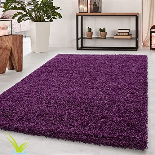 Wadan 60x110cm Purple Shaggy Rugs Living Room |5mm Thick Pile | Extra Large Small Medium | Rectangular Size | Soft Touch | Living Room Area Rugs | Non Shedding
