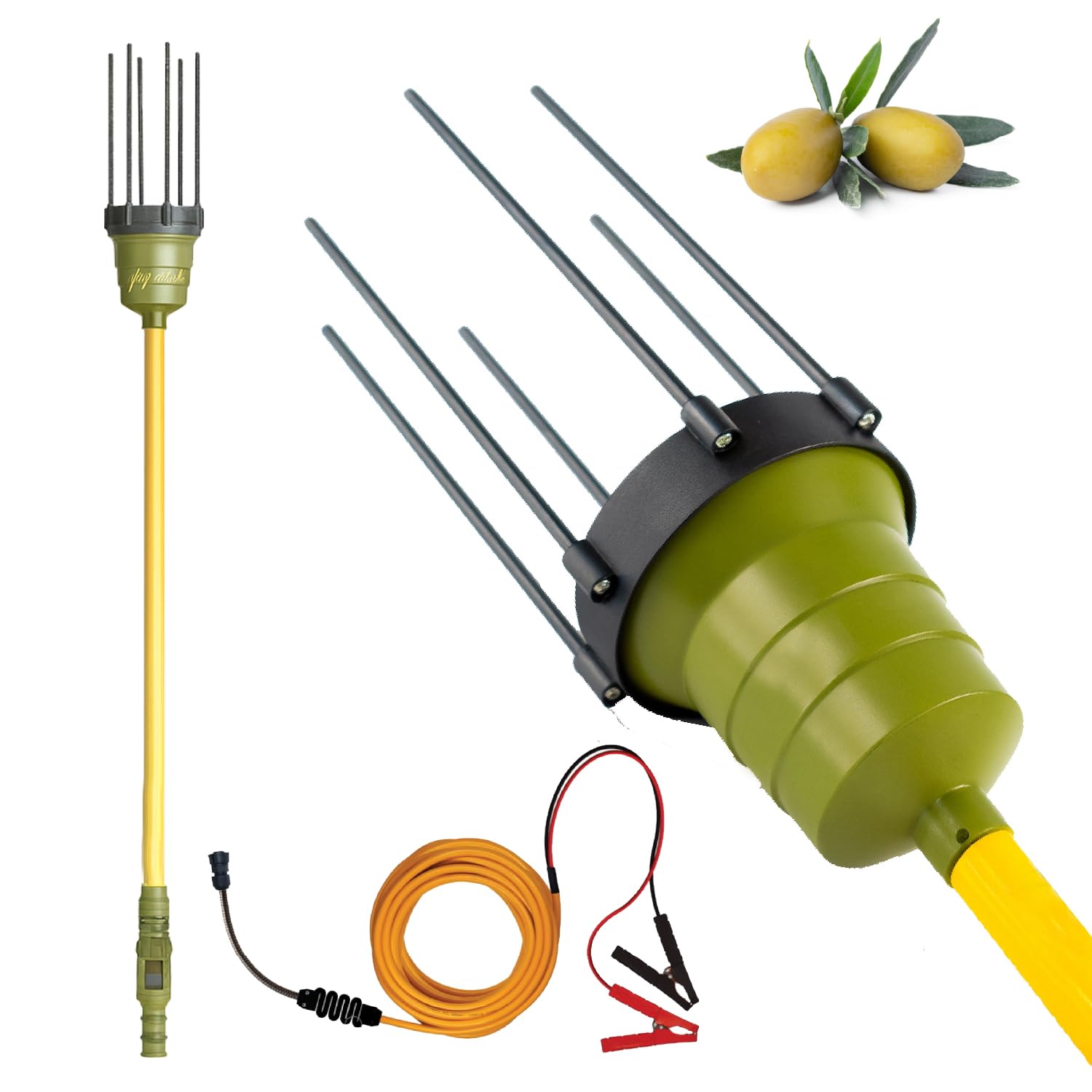 Crisalide® - Oliviero Synthesis - Vareador recogedor de aceitunas a batería de 12 V, barra fija de 2,5 m