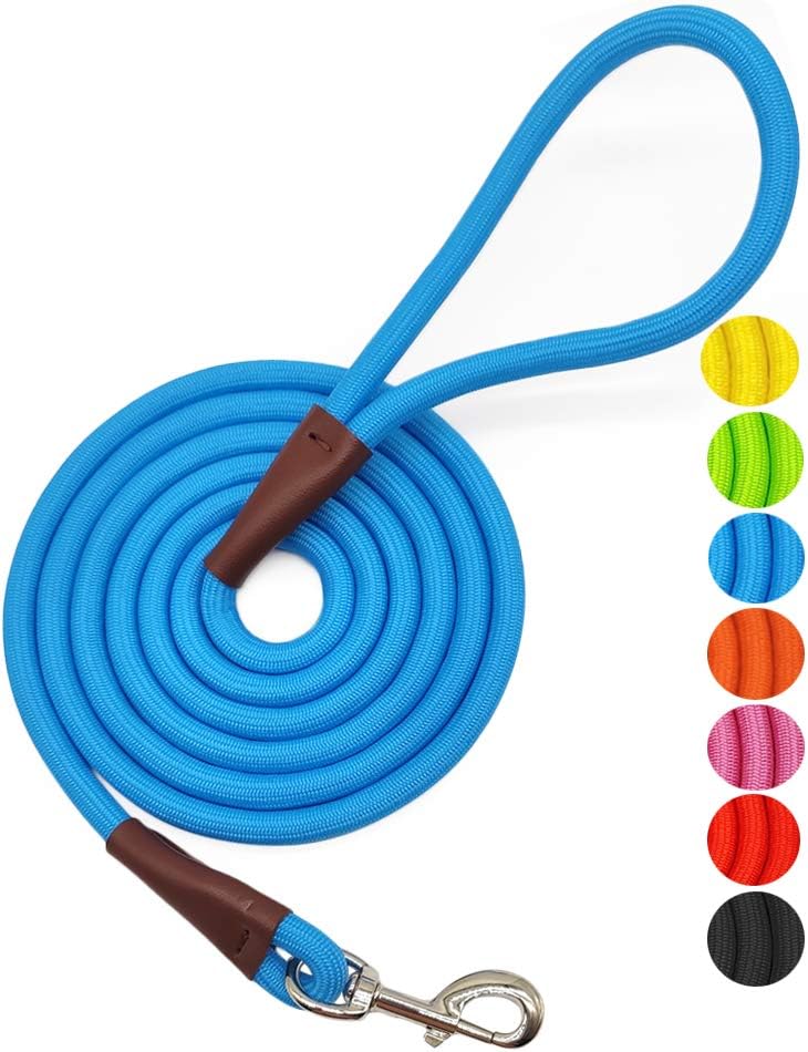 MayPaw 4FT/6FT/8FT/10FT Dog Leash, Classic Solid Colors, Durable Mountain Climbing Rope Dog Leash Reinforced with Leather Tailor Connection Heavy Duty Silver Clasp (Blue, 10 Foot) : Pet Supplies