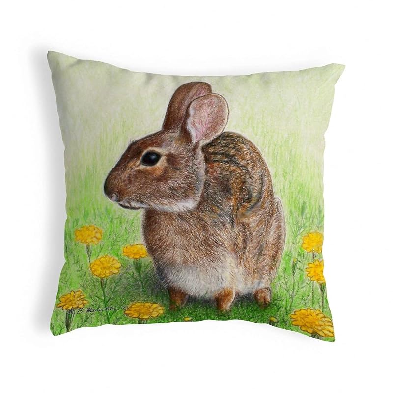 Betsy Drake KS053L Throw Pillow, 12 inches x 12 inches, Multi