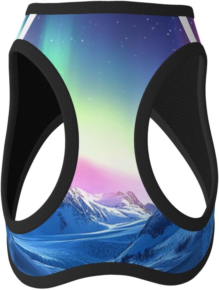Northern Lights in The Andes Mountains Pet Vest Small Size Dog Harness and Leash Set for Training, Reflective & Adjustable with Accessories Medium