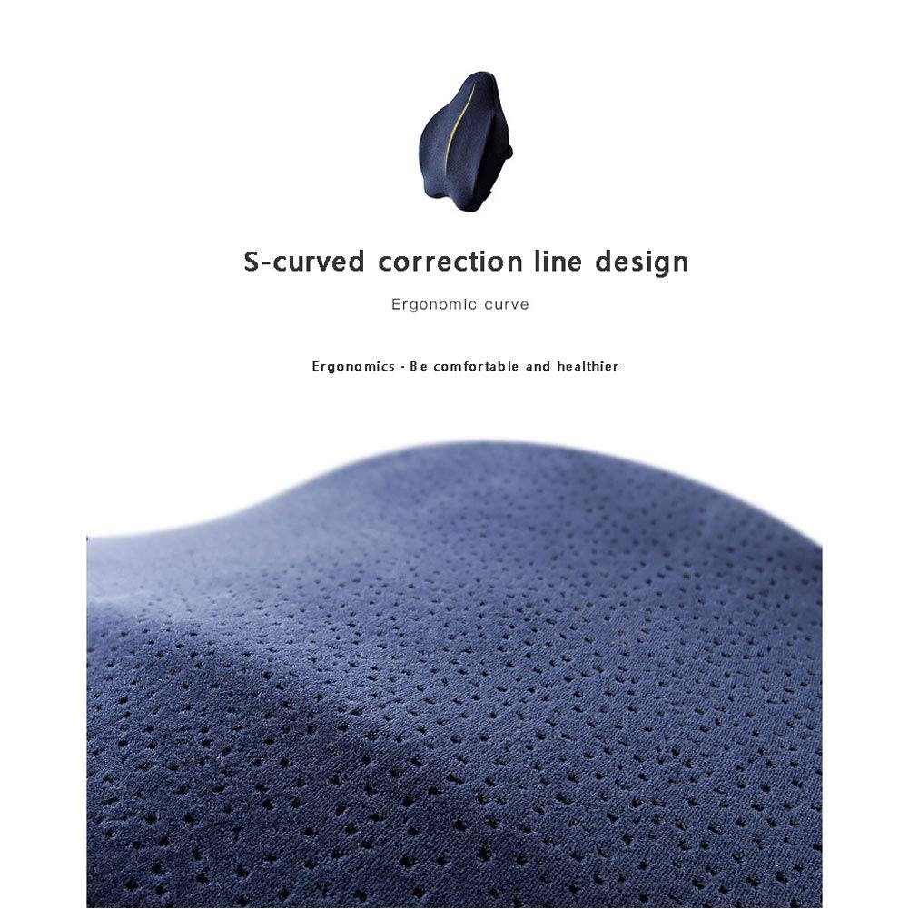 NANANA Cojin Lumbar Respaldo Lumbar para Silla Oficina Coche, Memoria de Forma Ergonómico, para y Prévient Dolor del Lumbares, 53X43x10cm,Rosado,b