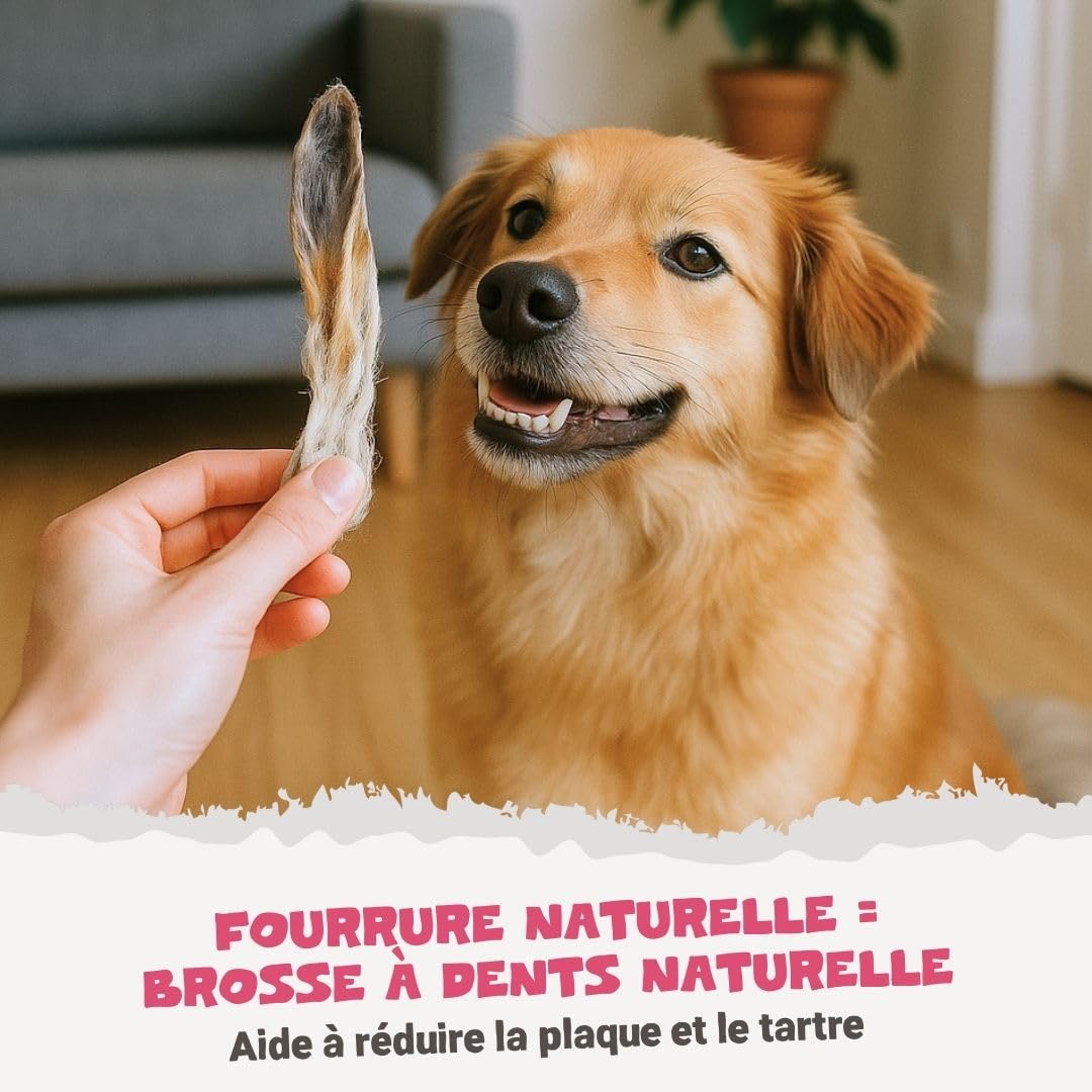 Pets Purest Oreilles de Lapin avec Fourrure pour Chiens, Chiots & Seniors - Friandise à Mâcher 100% Naturelles, Séchées à l'Air, pour Les Aliments Crus et Les Régimes Hypoallergéniques sans Céréales.