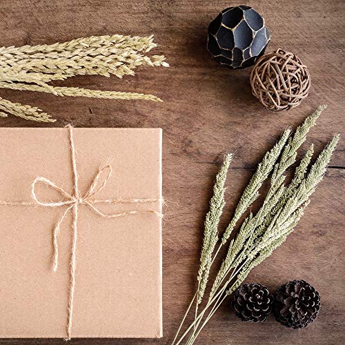 Winlyn 150 Pcs Bulk A6 Invitation Envelopes In Brown Kraft Peel & Seal Self-Seal 4 3/4 X 6 1/2 Envelopes 100Lbs. Paper Stock For Wedding Holiday Invitation Mailing 4 X 6 Photo Greeting Cards #TOP3