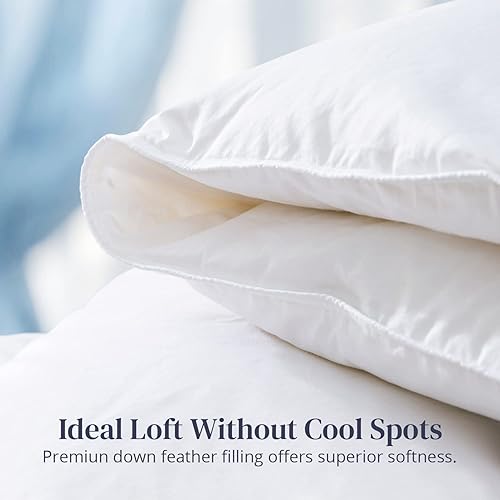Miniatura 4 de Globon Lujoso edredón de plumón de plumas tamaño King relleno de edredón esponjoso de colección hotelera pesado para invierno 100 algodón suave con