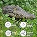 Alligator Pool Float, Crocodile Head Ornament Decor, Floating Alligator Head Decoy, Halloween Decorations Outdoor Crocodile for Koi Pond Lawn Garden, Duck Deterrents for Pools, 5.7 * 3.9 * 13.8 Inches