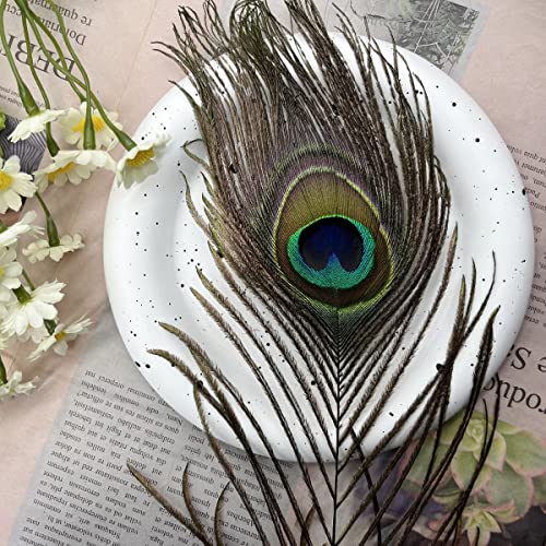 Natural Peacock Eye Feathers 10"-12" Tail Feather For Wedding Holiday Decoration Home Decor Hat Diy Craft (10Pcs) #TOP3