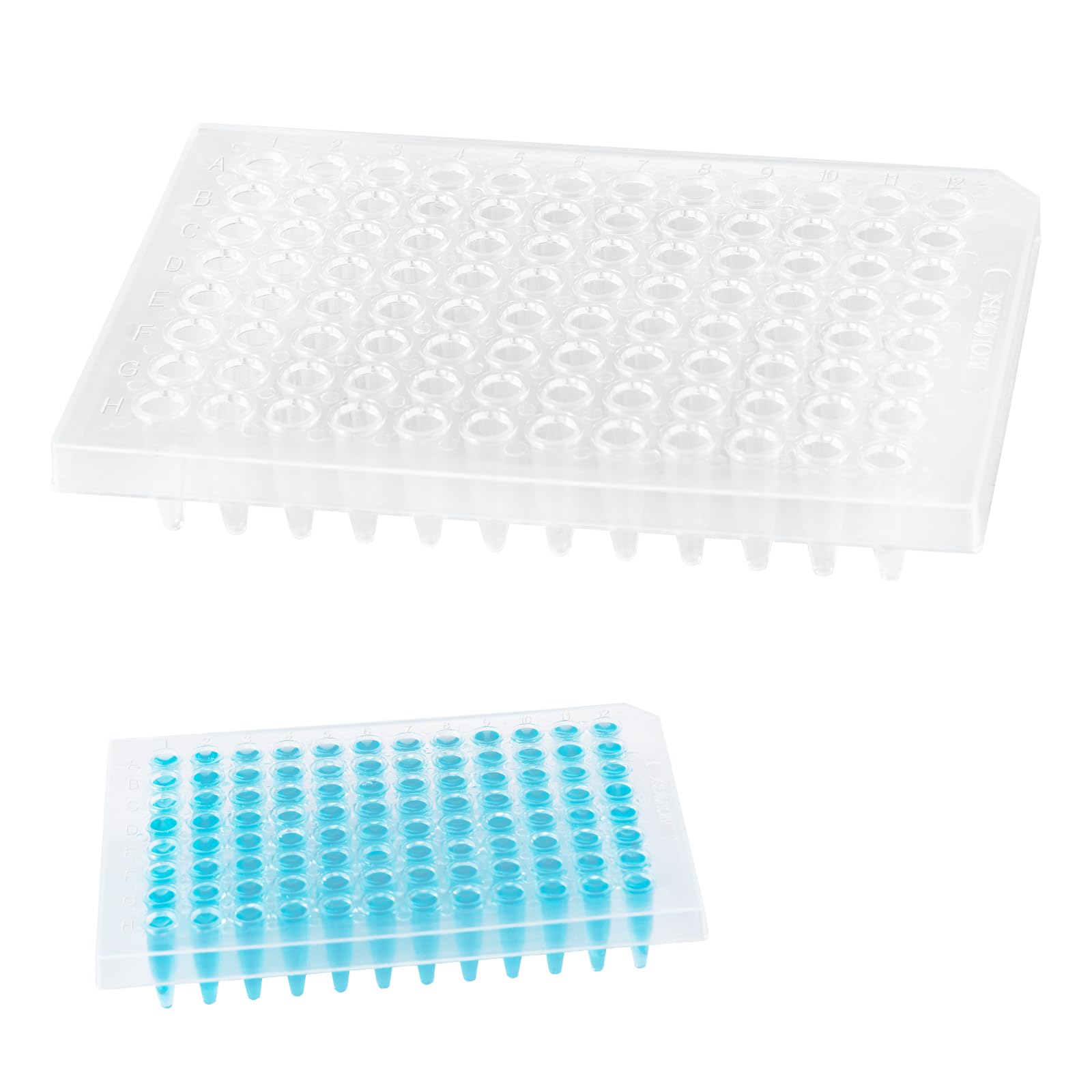 100 Stück 96 Well PCR Platte, Labor PCR Platte, Labor Mikroplatten, Labor-Proben-Mikroplatten für Mikrochemie, 0.2ml, Half-Skirted, Unsteril, Polypropylene, Transparent