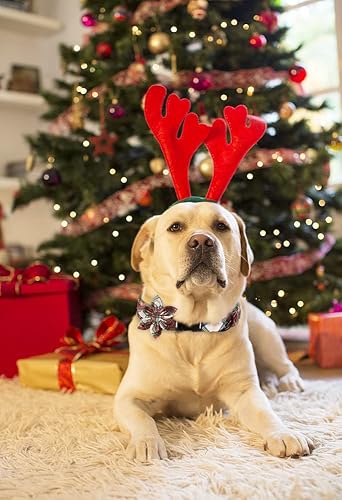 Miniatura 4 de Aring Pet Collar de perro con flor desmontable, cómodo y ajustable, para Navidad, unisex