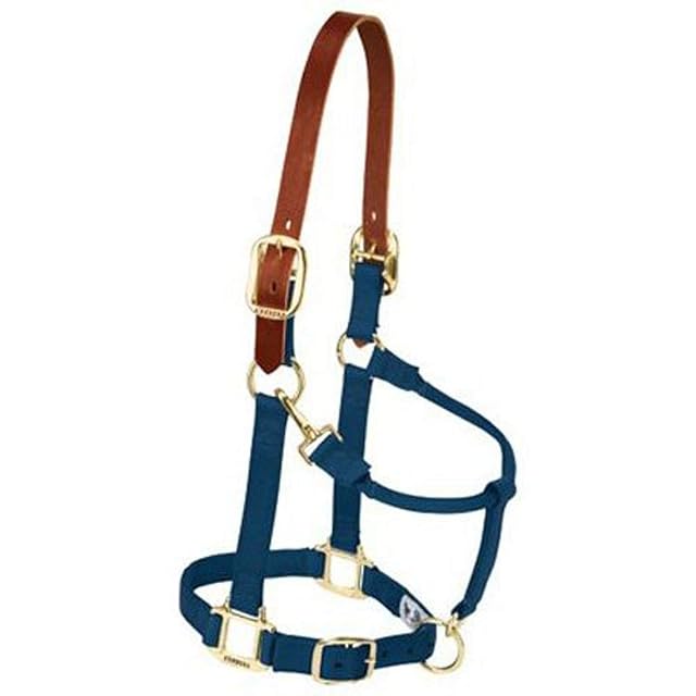 Weaver Leather - Cabestro Ajustable de Piel y Nailon para Caballo, Mediano, Azul Marino