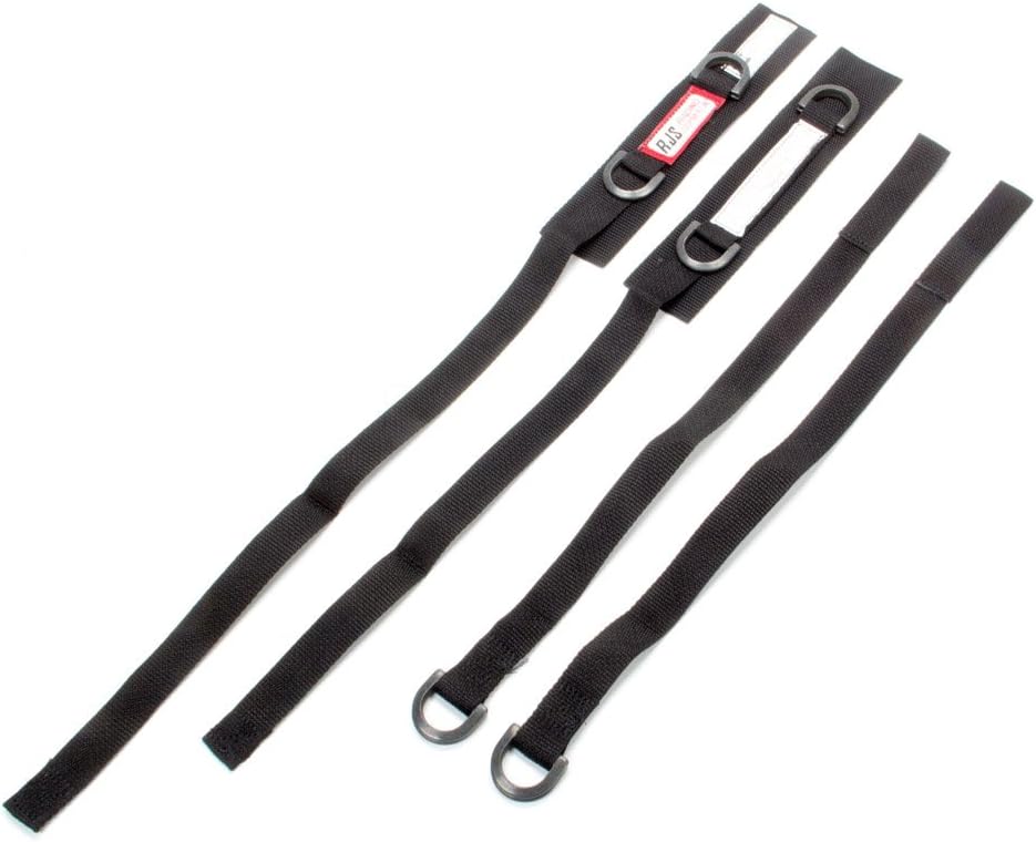 RJS Racing Equipment 11000301 Arm Restraint