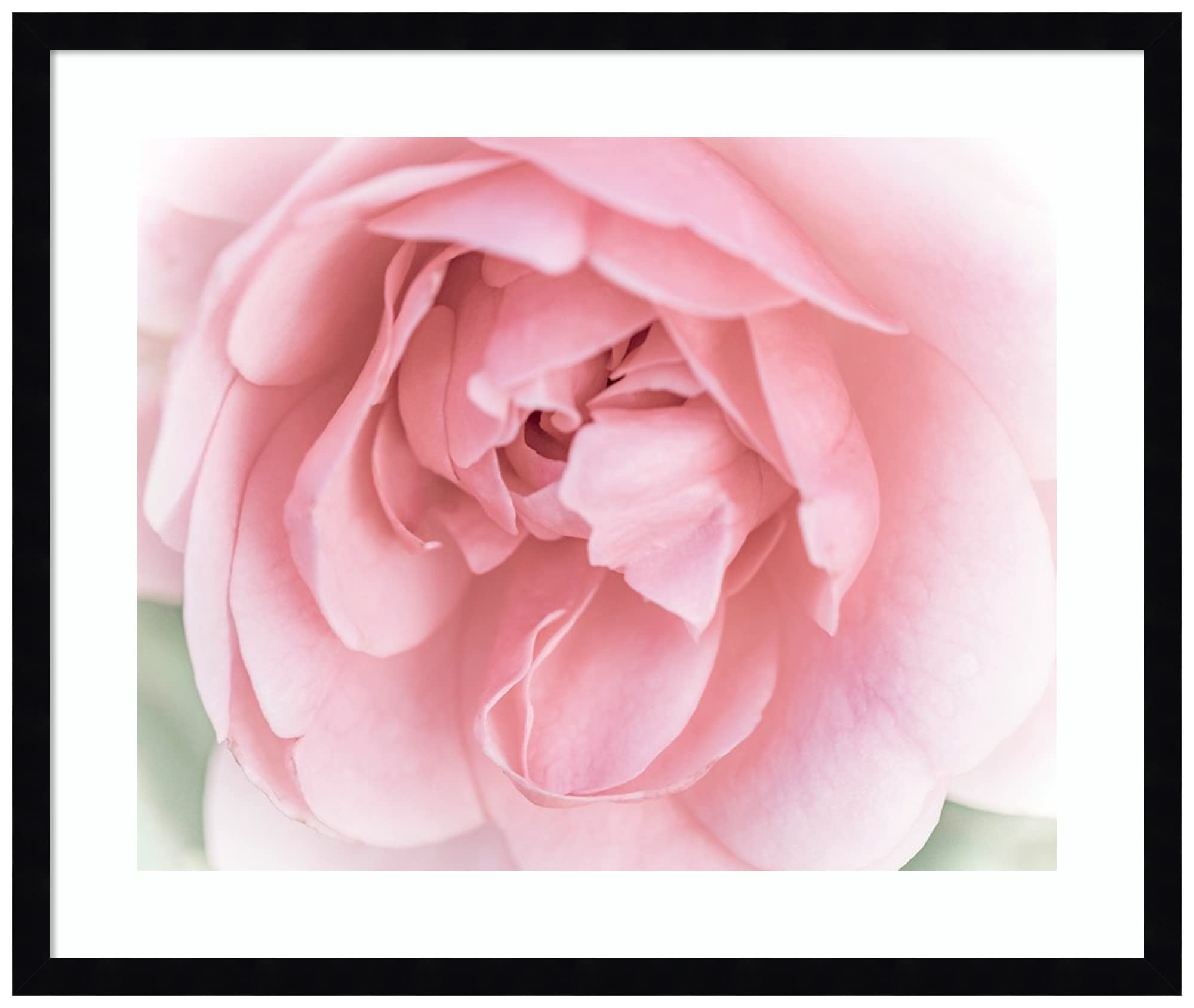 Photo 1 of Amanti Art Framed Wall Art Print (25x21) Pretty Pink Blooms II by Eva Bane Framed Poster for Wall Decor, Living Room, Bedroom, Bathroom, Kitchen, Office or Business Artwork from WI, USA Svelte Noir Black Large