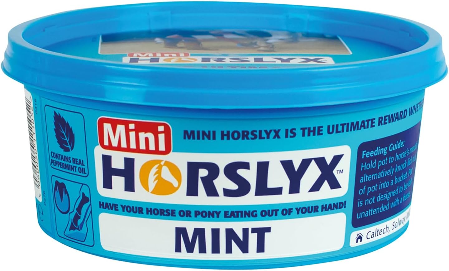 Minilick Mint 12 x 650g