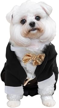 Dog Tuxedo, Stylish Pet Formal Attire, Dog Wedding Outfit, Medium, Black