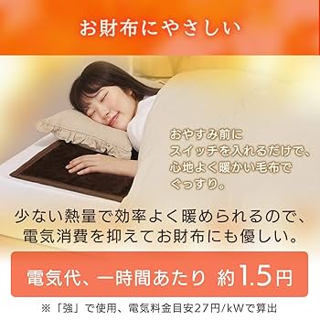 アイリスオーヤマ あったか電気毛布 140×80 cm IRIS OHYAMA 電気毛布 140×80 電気敷き毛布 敷き毛布 電気敷毛布