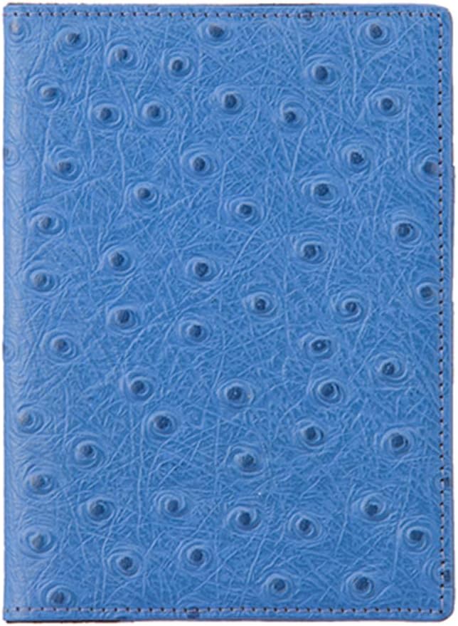 団扇屋さん 団扇素材 艶ありグリッターシート 12×30cm お試しサイズ 6