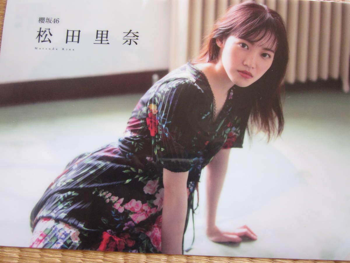 Amazon.co.jp: 櫻坂46 藤吉夏鈴＆松田里奈 クリアファイル : おもちゃ