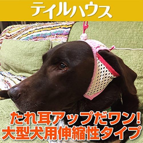 Amazon テイルハウス Tailhouse 耳上げサポーター たれ耳アップだワン 伸縮性タイプ Lm ブルー Tailhouse テイルハウス 耳のケア 通販