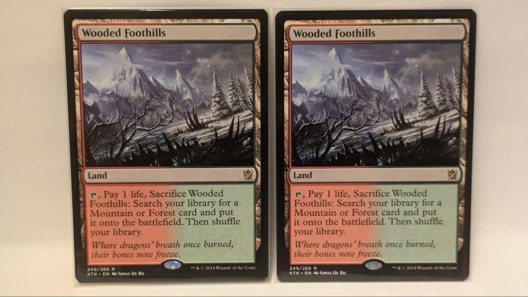 Amazon.co.jp: MTG 樹木茂る山麓 Wooded Foothills 英語版 2枚セット 