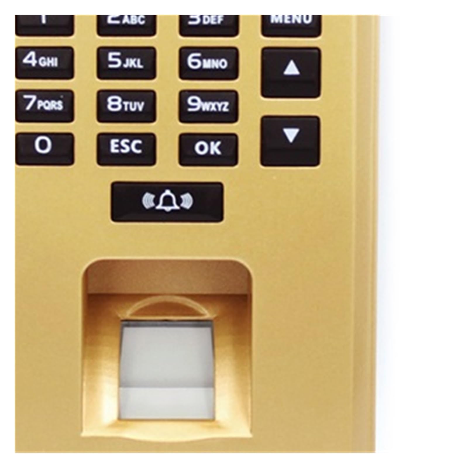 Clocking In Machine 6,1 cm, tastiera per controllo accessi con impronte digitali, sistema biometrico USB, registratore elettronico per presenze (grigio)