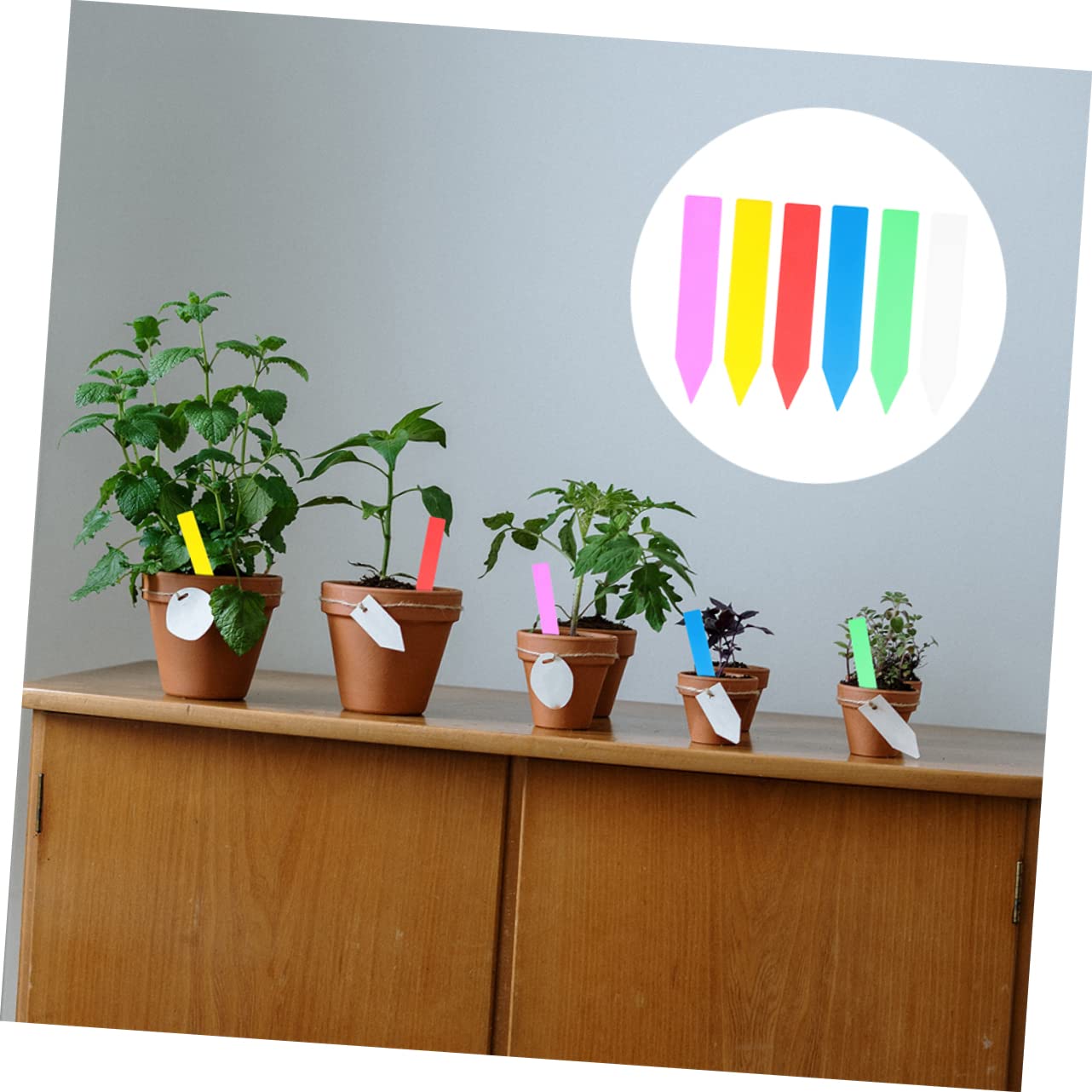 TOYANDONA 600 Stück Teiliges Pflanzenschild Robustem Kunststoff Wetterfest Wiederverwendbar Farbige Gartenetiketten für Topfpflanzen Beete Geeignet für Gärten Gewächshäuser Einfache