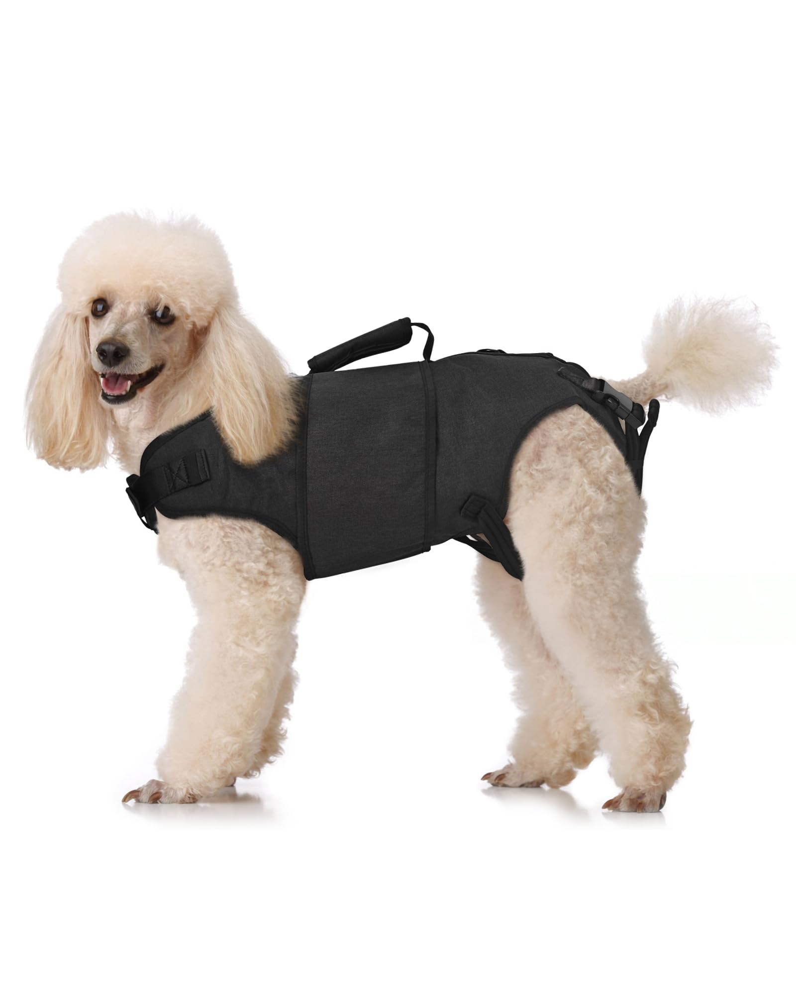 LISPOO Assist Harness for Senior Dogs-Hind Leg Support Sling for Large Dogs with Hip Dysplasia Arthritis-Adjustable Recovery Harness-Stability Assistance & Walking Help,Oxford Cloth-XL