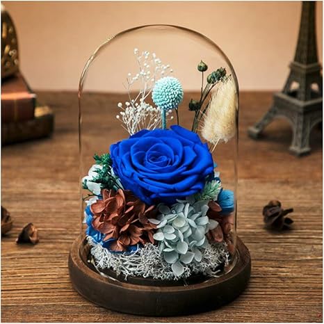 Amazon Hsbais 本物のバラで永遠の花 保存花プリザーブドフラワー ガラスポット ライト Led フラワーアレンジドライフラワー 枯れない花 生花 最高の贈り物 木製ベース 母の日 飾り 誕生日 バレンタイン Blue プリザーブドフラワー オンライン通販 Amazon Hsbais 本物のバラで永遠の花 保存花プリザーブドフラワー ガラスポット ライト Led フラワーアレンジドライフラワー 枯れない花 生花 最高の贈り物 木製ベース 母の日 飾り 誕生日 バレンタイン Blue プリザーブドフラワー オンライン通販