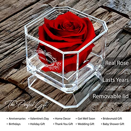 Eternal Petals A 100% Real Rose That Lasts Years, Handmade in London, Flowers Delivery Next Day Prime UK - White Gold Solo (Deep Red) - Image 2