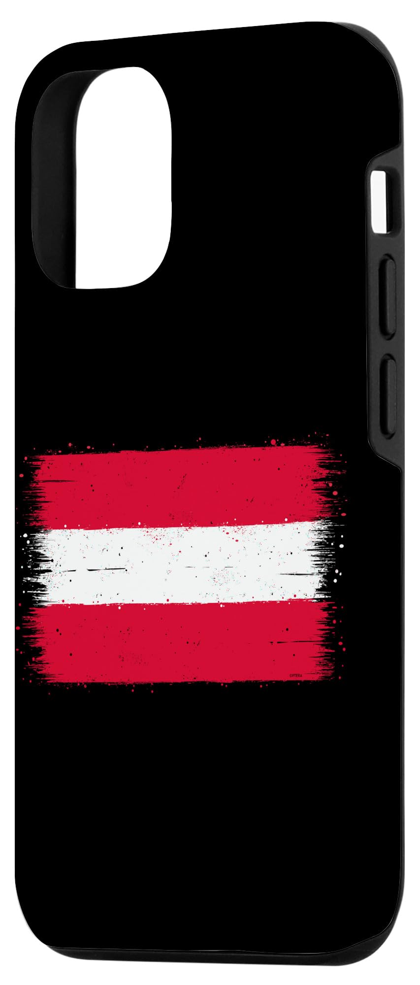 iPhone 12/12 Pro Vintage Austria Flag for Expat on Austrian National Day Case - Image 2