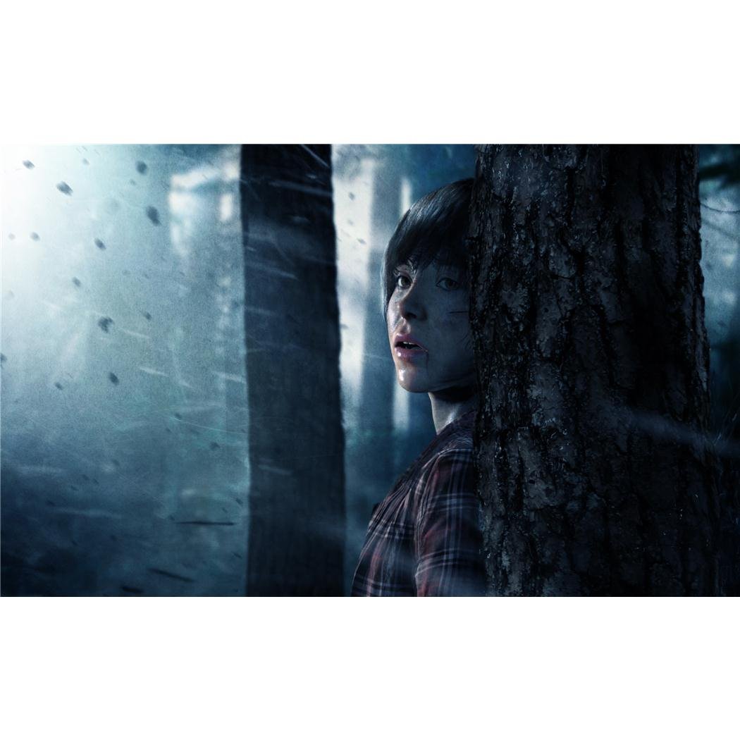 Beyond Two Souls Poster by Silk Printing # Size about (57cm x 35cm, 23inch x 14inch) # Unique Gift # 5168A6