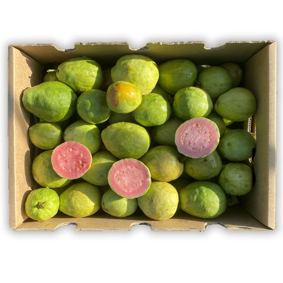 Guayabas | Comprar guayabas dulces recién recolectadas, de cultivo sostenible en España y enviadas directamente del agricultor (3 Kg)