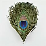 Artisanat en plumes de paon : tous nos articles en plumes de paon ont été nettoyés, vaporisés et désinfectés professionnellement à 100 % de haute qualité. Ces plumes de paon sont belles, colorées, douces et légères. Les plumes de paon sont strictement sélectionnées par criblage manuel des plumes et traitées à haute température, très sûres.