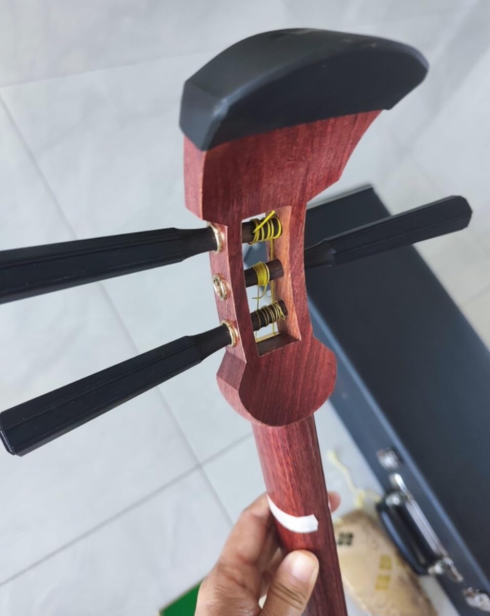 Jiuta Shamisen japoński instrument strunowy, palisander syjamski, szyjka 3 cm, 3-krotny korpus czopa wpuszczanego