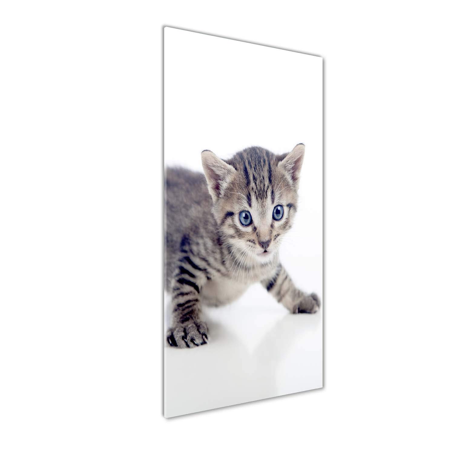 Tableau Chat Brun en Verre Acrylique 50x125 cm - Tulup Déco Murale