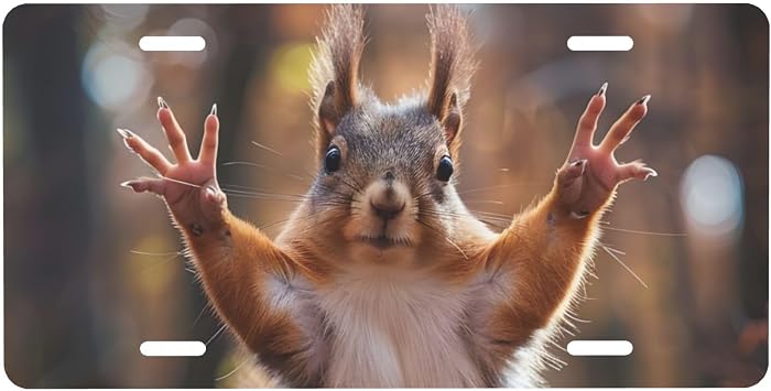 Funny Animals Squirrel Front License Plate Funny Plate Cover Rust-Free Fade Resistant Aluminum Decorative Car License Plate for Women Men 6 X 12 Inch USA Made,E-452