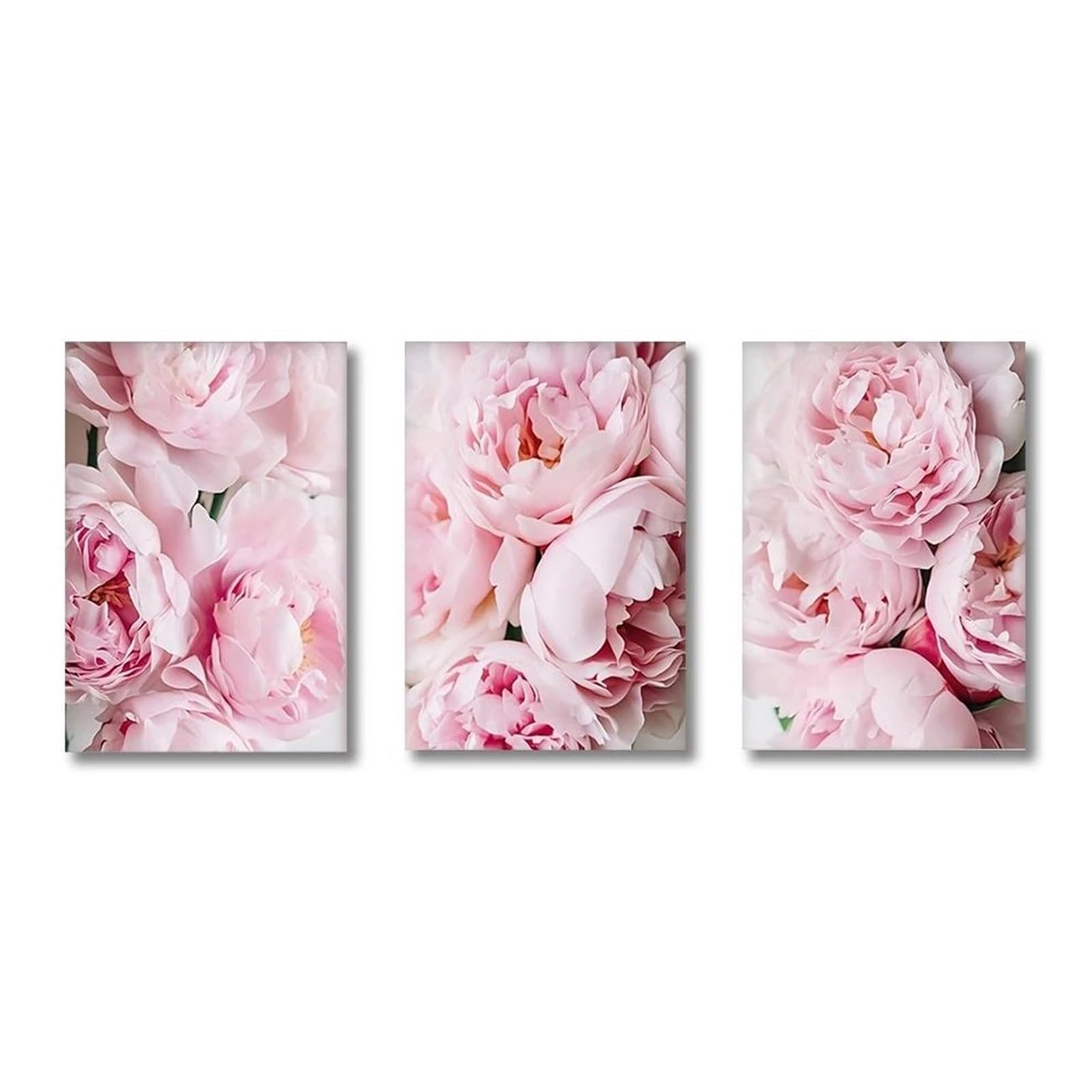 Pintura en lienzo de flores rosadas, carteles florales modernos de 20x30cm para pared