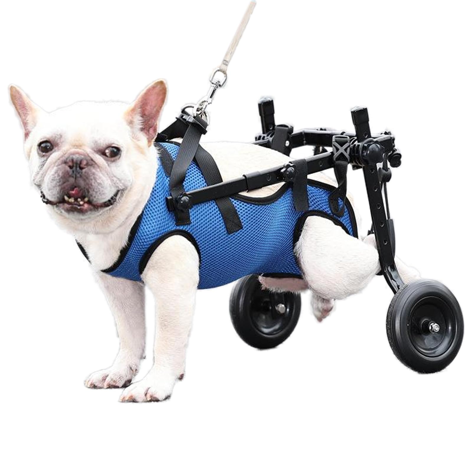 Silla de ruedas ajustable para patas traseras de mascotas talla XS
