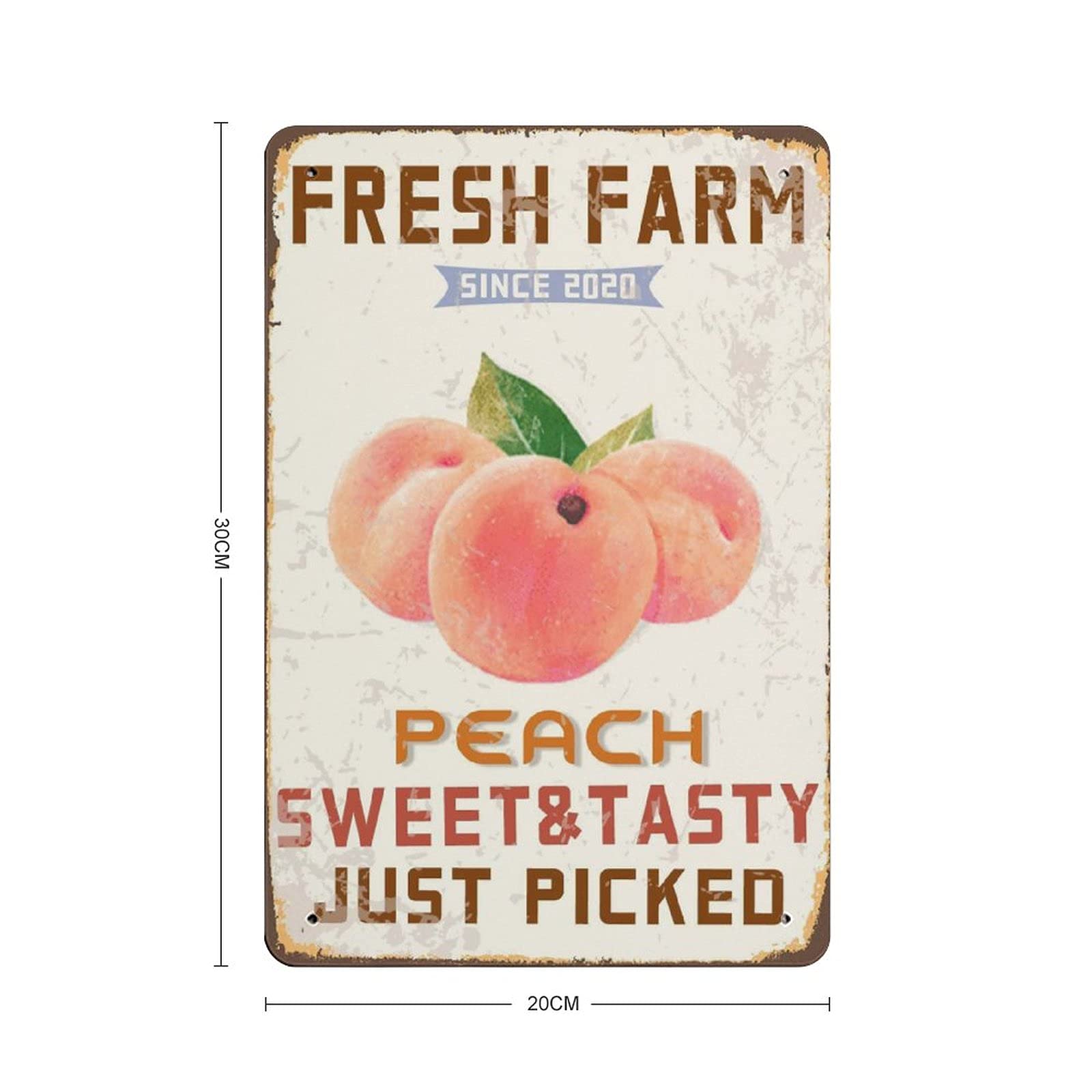 Targa Metallica Losea Farm Fresh Fruits And Vegetables | 30x20 Cm, Retrò Vintage Per Cucina E Bar - 4