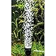 Hobby 00677 Bubble Air Spot colour & moon, LED mit Ausströmerfunktion, 1 Stück (1er Pack)
